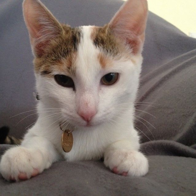 Photo of Cleo Ec0159