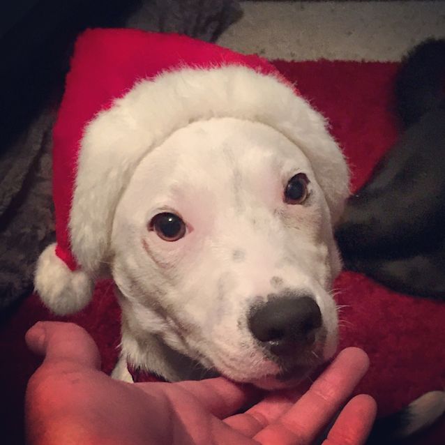 Photo of Miss Daisy Pickle