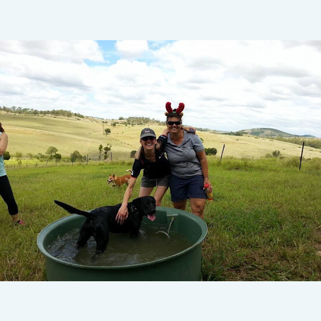 Photo of Toby (Adoption Pending)