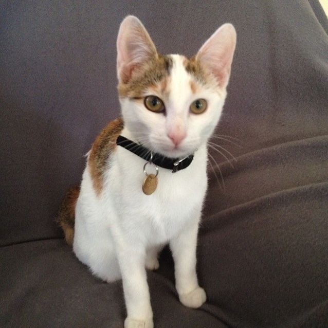 Photo of Cleo Ec0159