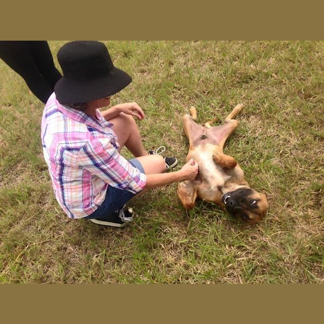 Photo of Moose (Adoption Pending)