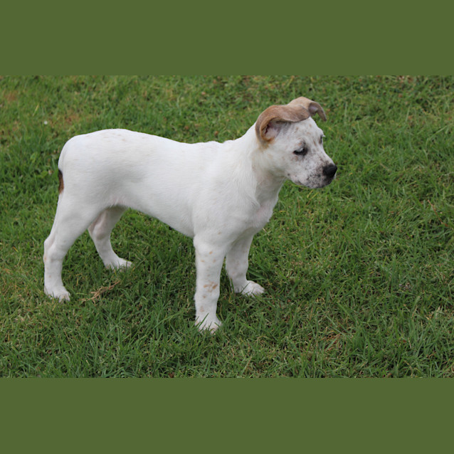 Photo of Tilly