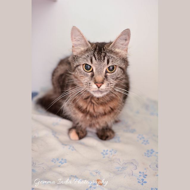 Photo of Missy