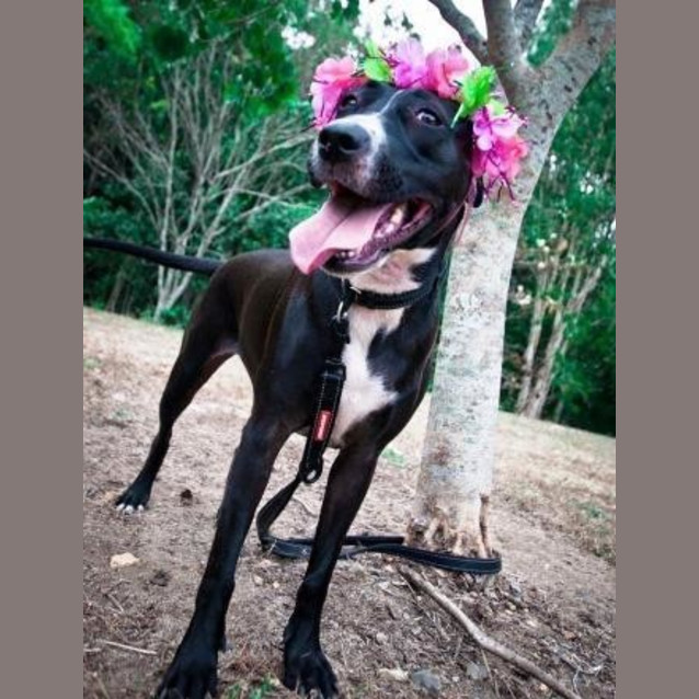 Photo of Princess