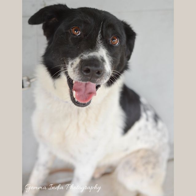 Photo of Lucy