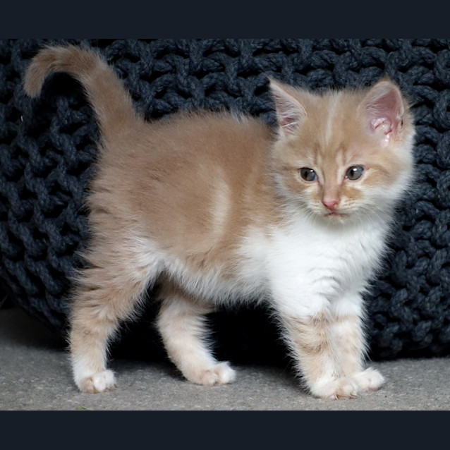 Photo of Barnaby