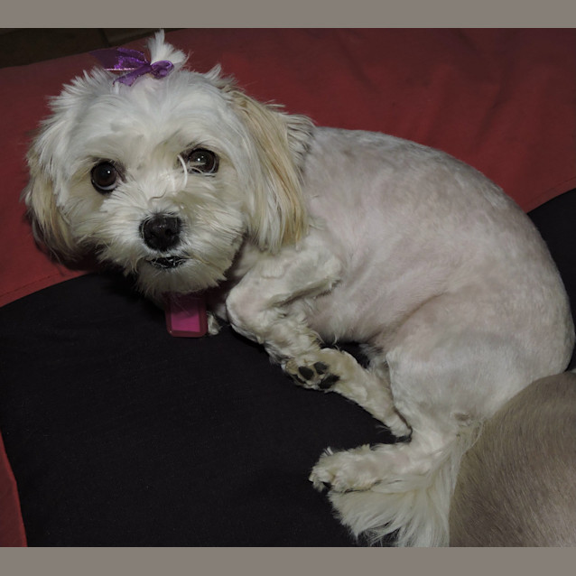 Photo of Molly