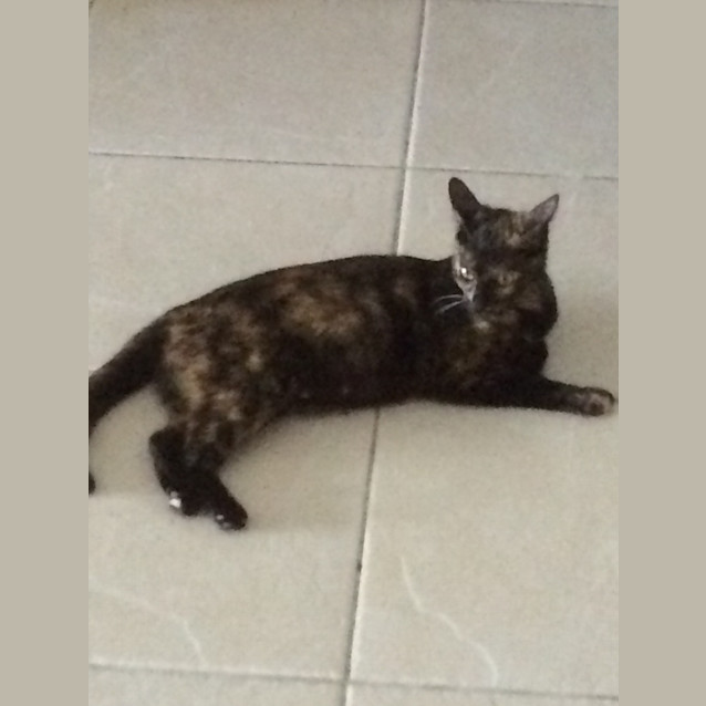 Photo of Macey