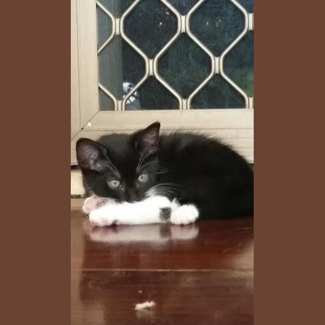Photo of Jewel