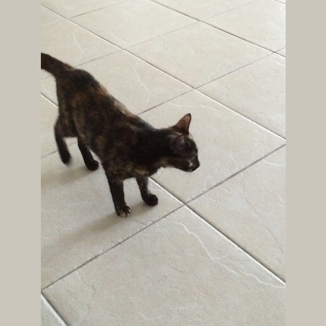 Photo of Macey