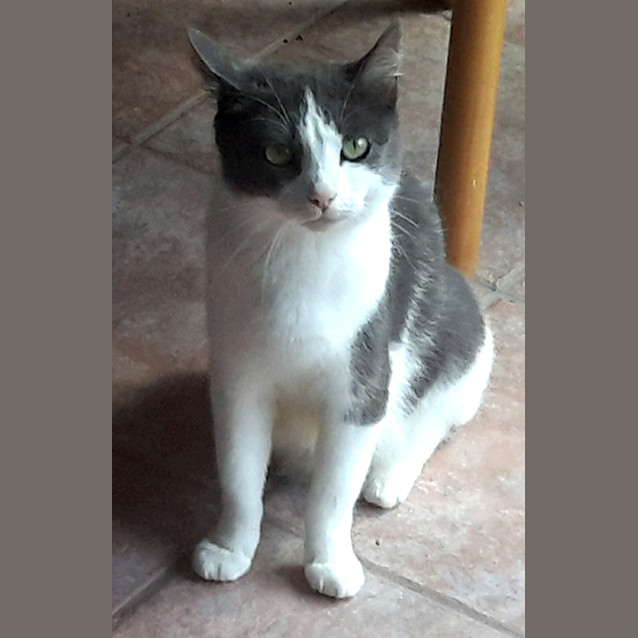 Photo of Lucy