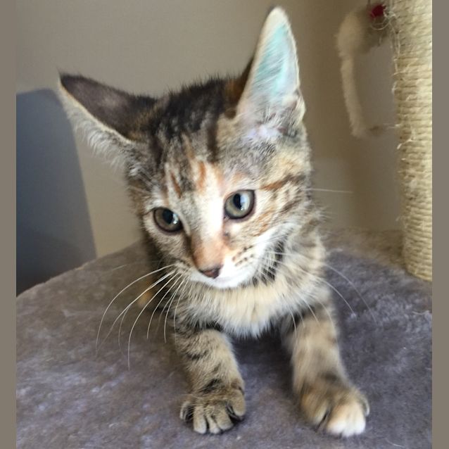 Photo of Olivia