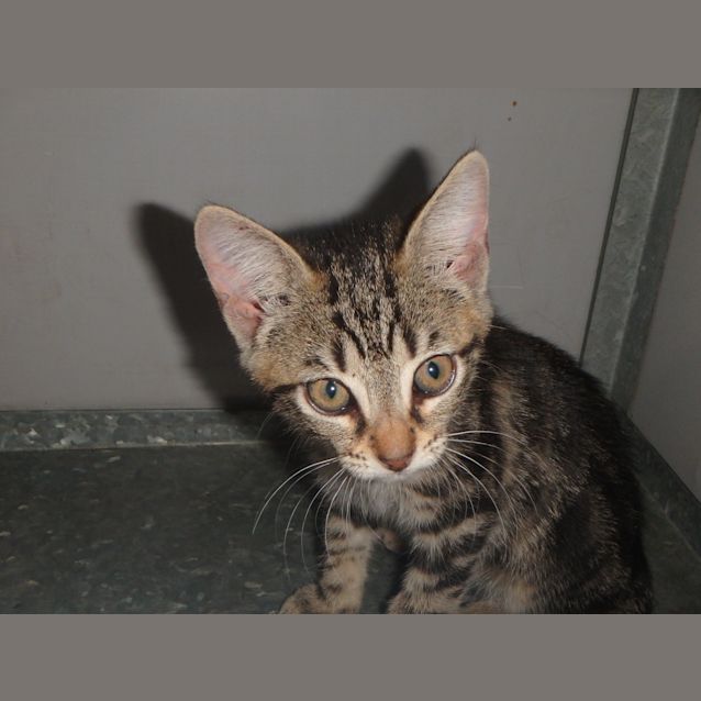 Photo of Gabriel