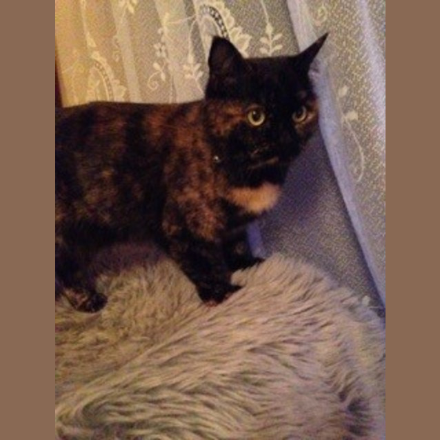 Photo of Divine & Gabriel