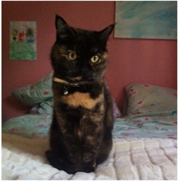 Photo of Divine & Gabriel