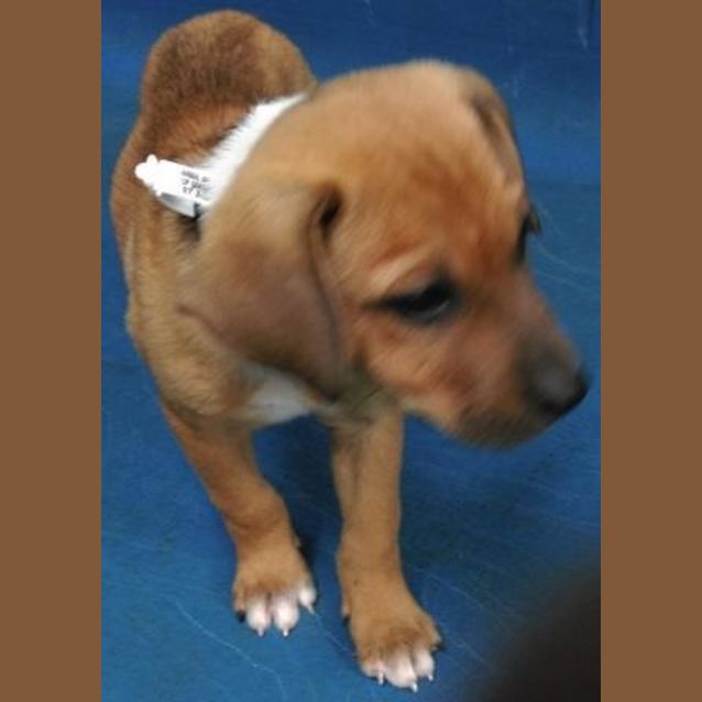 Photo of Bagel