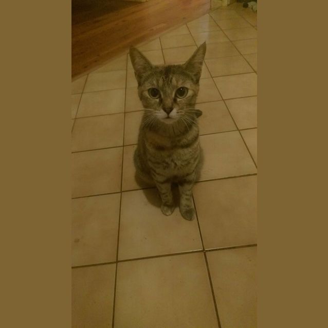 Photo of Rosie