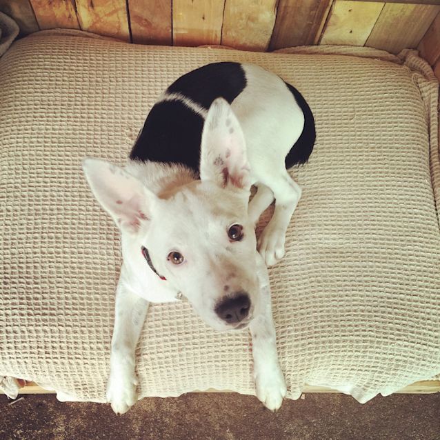 Photo of Miss Daisy Pickle