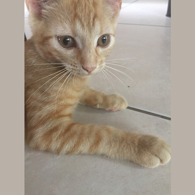 Photo of River ** I'm Just $25! **