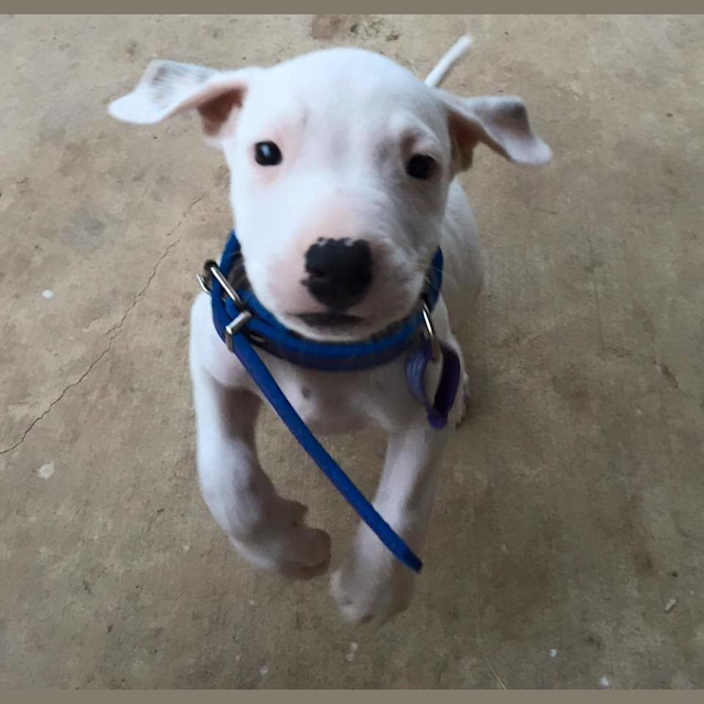 Photo of Solo 