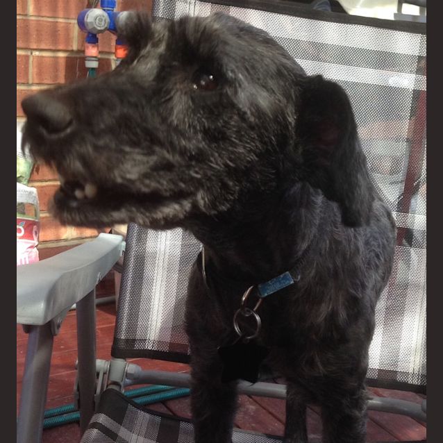 Photo of Coco