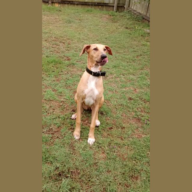 Photo of Zelda *I'm Just $150!*