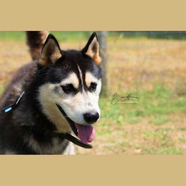 Photo of Chase