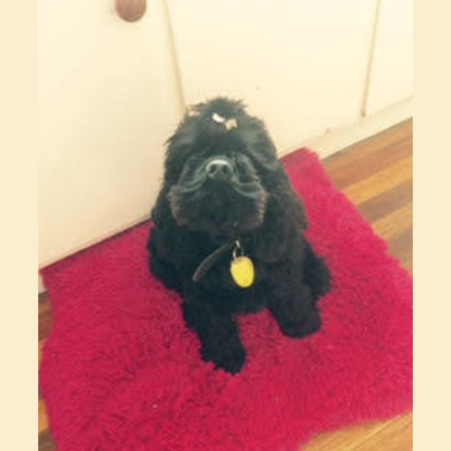 Photo of Stan 