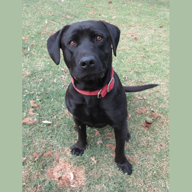 Photo of Ben *On Trial In His New Home*