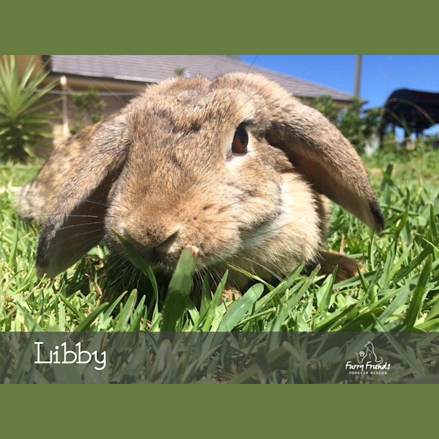 Photo of Libby