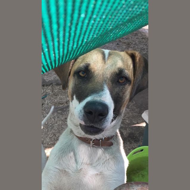 Photo of Patch