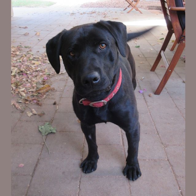 Photo of Ben *On Trial In His New Home*