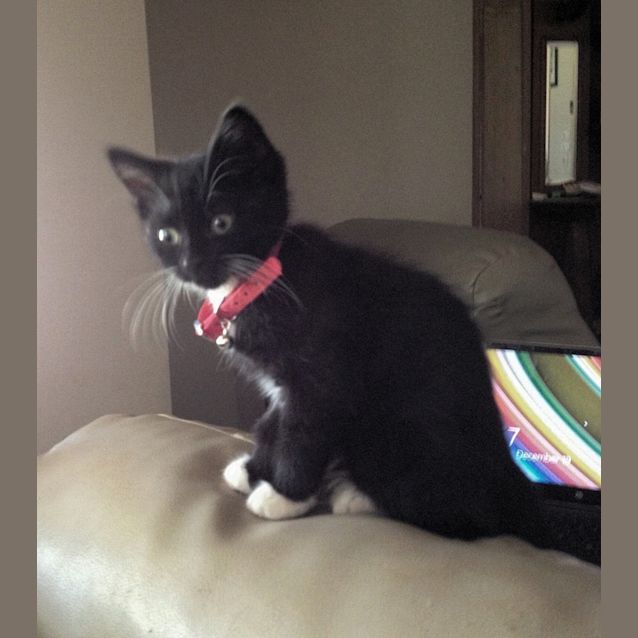 Photo of Jasmine
