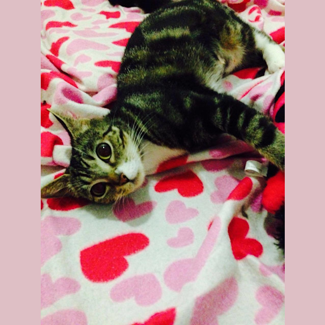 Photo of Lovebug Abigail