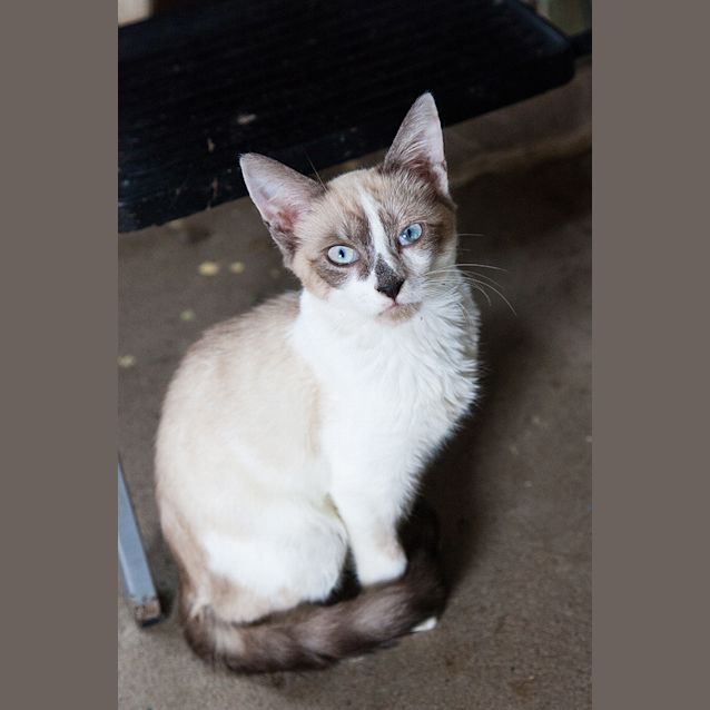 Photo of Bentley