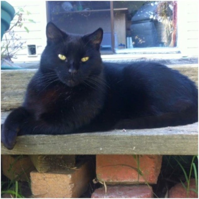 Photo of Gabriel & Divine