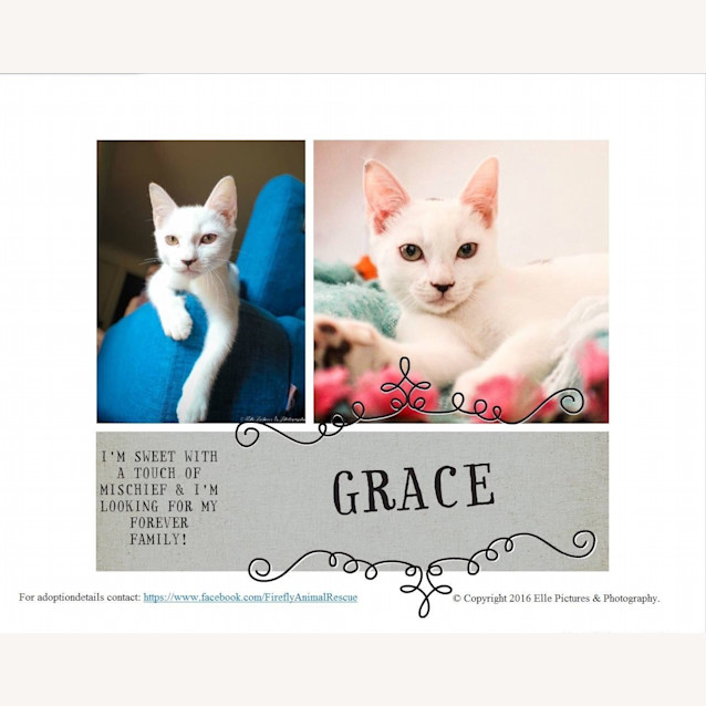 Photo of *Grace Kelly* A Princess In The Making!