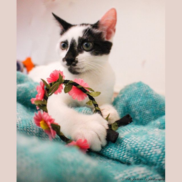 Photo of *Clint Eastwood* Make My Day!