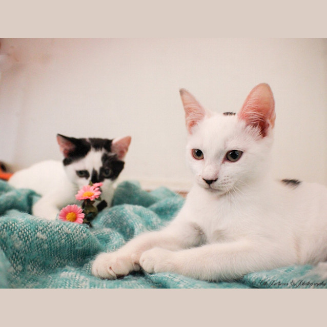 Photo of *Grace Kelly* A Princess In The Making!