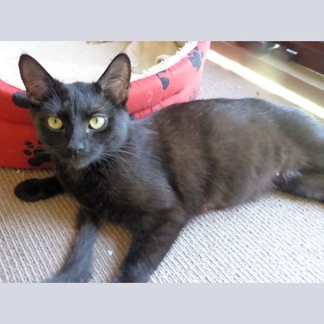 Photo of Ineka