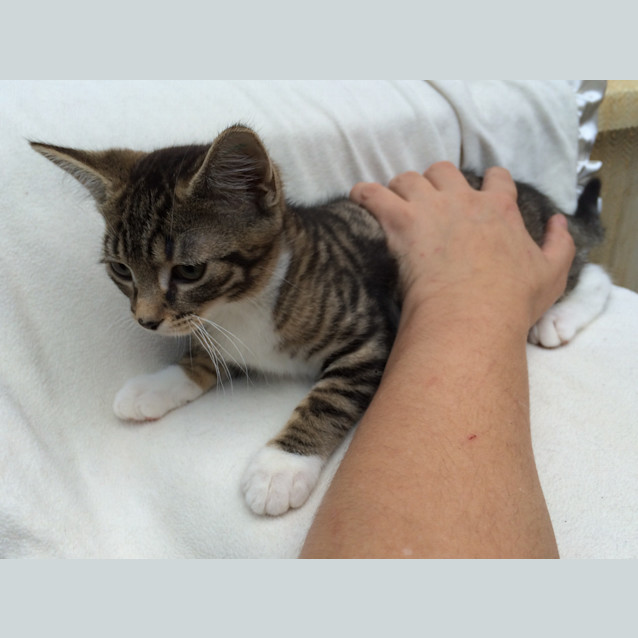 Photo of Lucky Chance