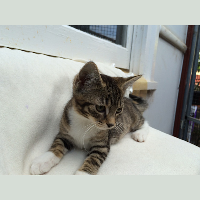 Photo of Lucky Chance