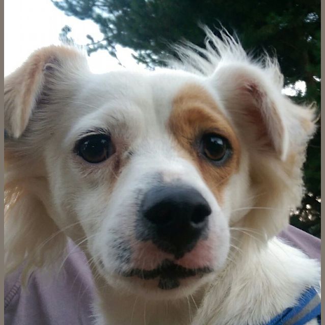 Photo of Coda