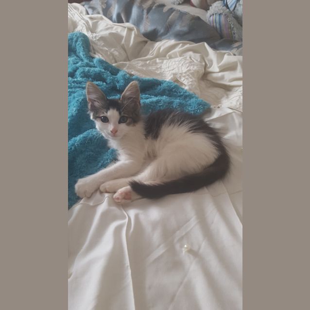 Photo of Winnie