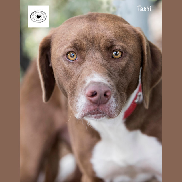 Photo of Tashi Id30152