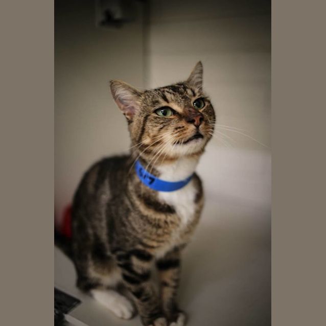 Photo of Cypress (0617)