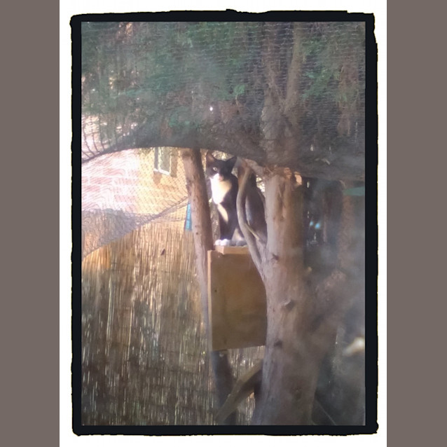 Photo of Marcell @ The Pet House Tuggerah