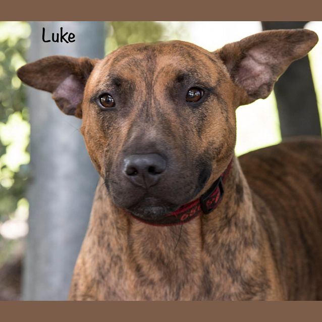 Photo of Luke Id30194