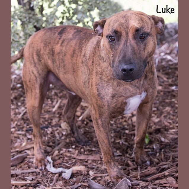 Photo of Luke Id30194