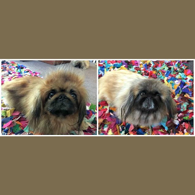 Photo of Bobby And Lizzie